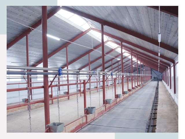 Строительство коровников в Королев от 624 руб.