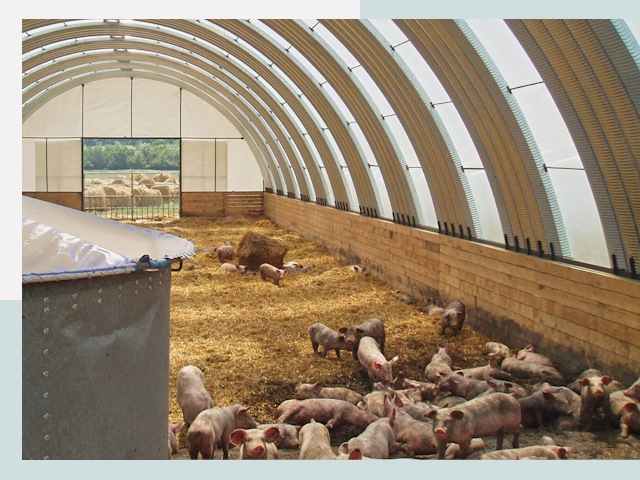 Строительство свинарников в Королев